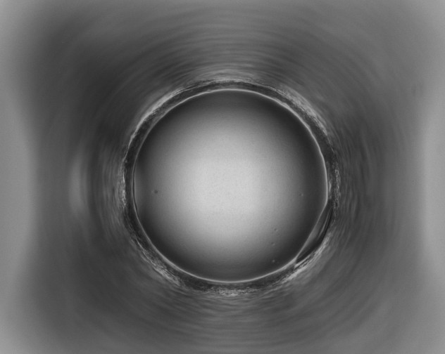 X0000116640782200912141234