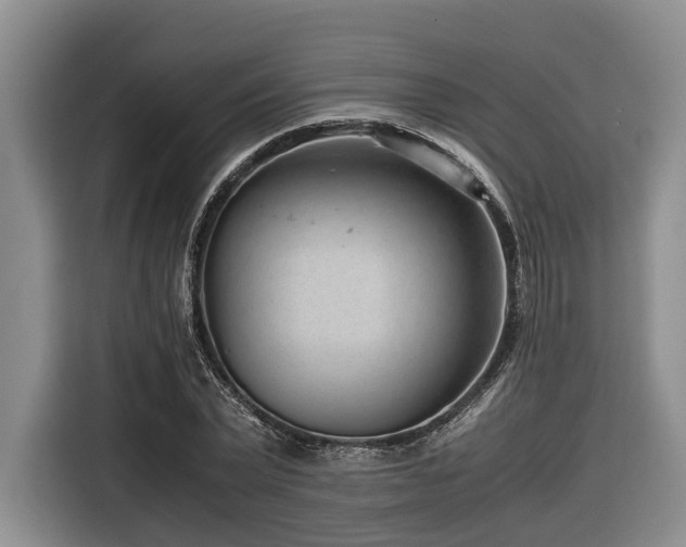 X0000116640783200912141234