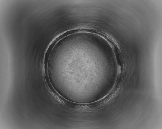 X0000116640784200912141234