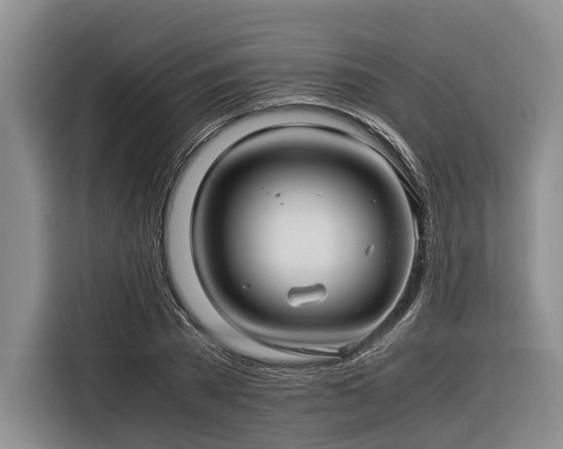 X0000116640785200912141234