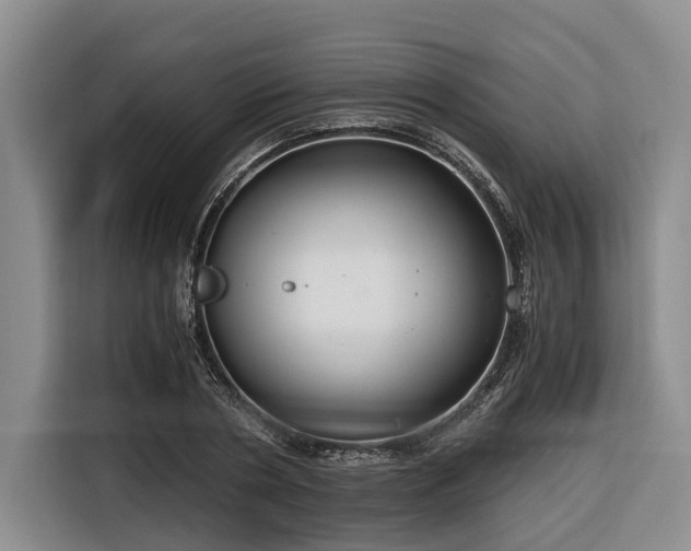 X0000116640786200912141234