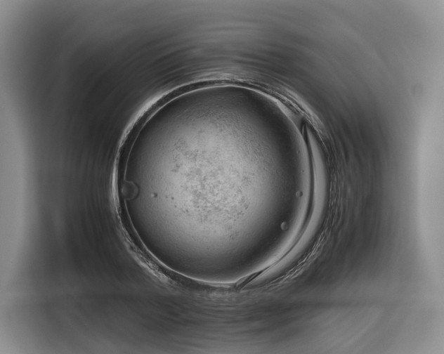 X0000116640788200912141234