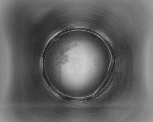 X0000116640790200912141234