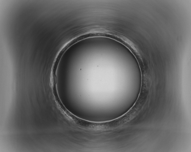 X0000116640791200912141234