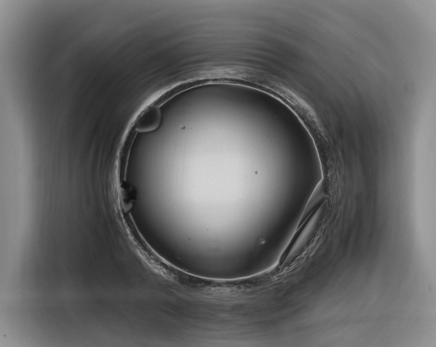 X0000116640792200912141234