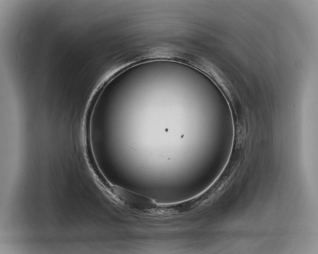 X0000116640795200912141234