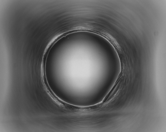 X0000116640796200912141234