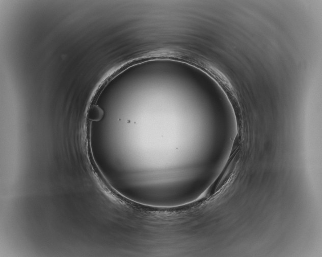 X0000116640800200912141234