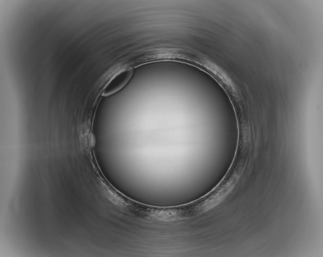 X0000116640801200912141234