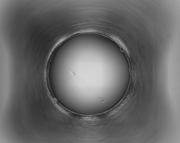 X0000116640805200912141234