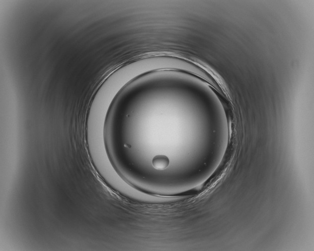 X0000116640809200912141234