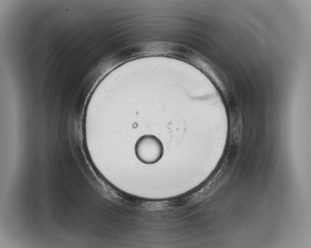 X0000116640810200912141234