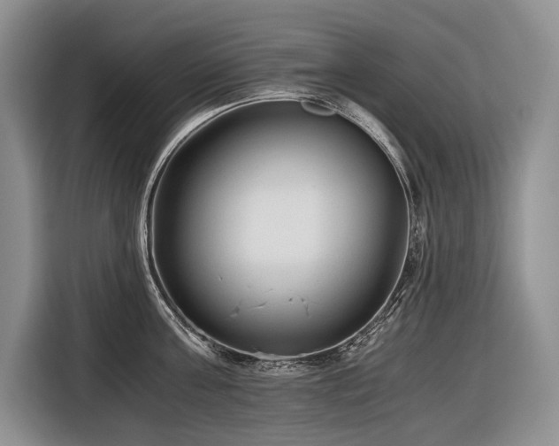 X0000116640811200912141234