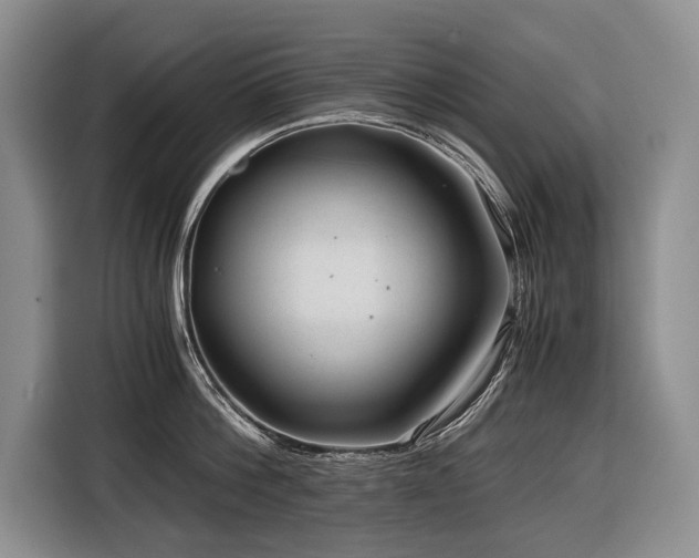 X0000116640812200912141234