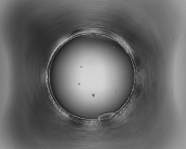 X0000116640813200912141234