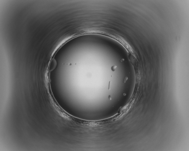 X0000116640814200912141234