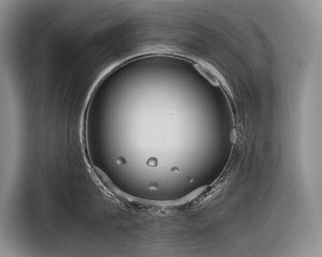 X0000116640815200912141234