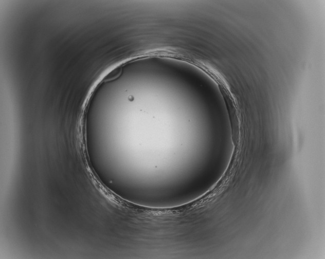 X0000116640816200912141234