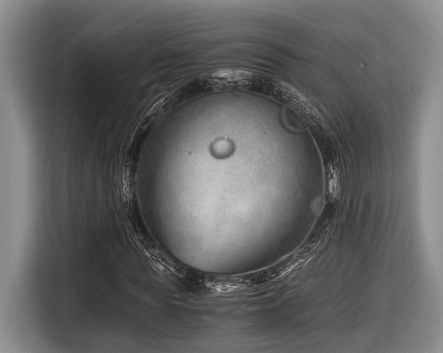 X0000116640819200912141233