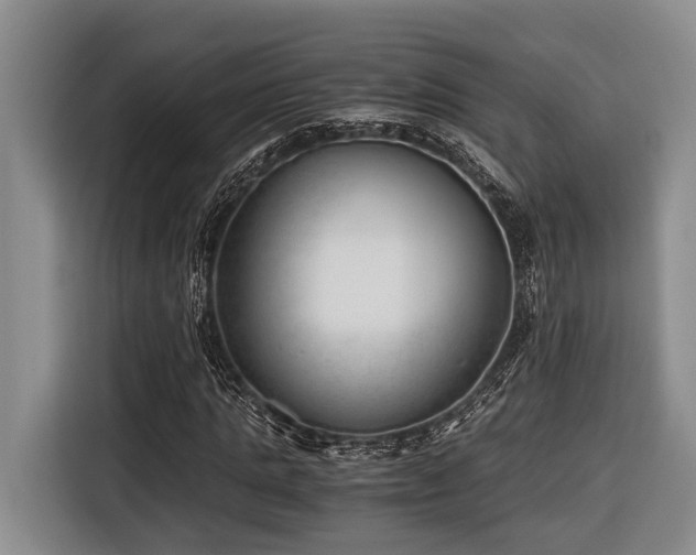 X0000116640821200912141233