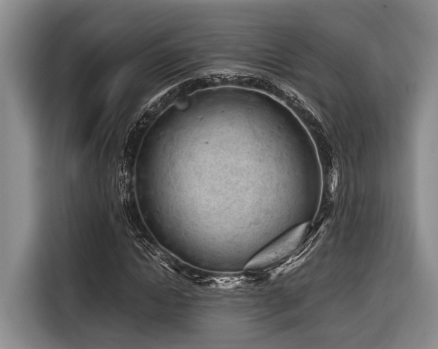 X0000116640822200912141233