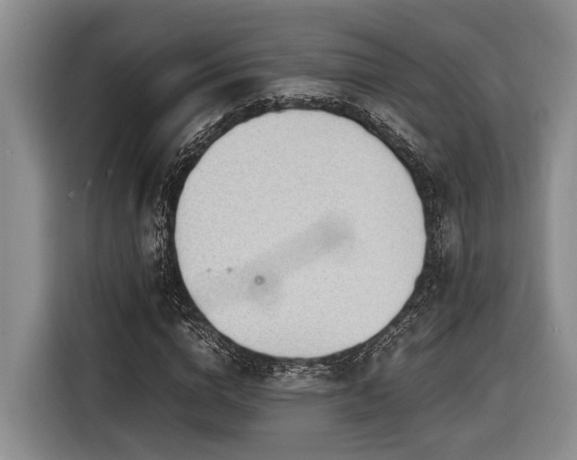 X0000116640824200912141233