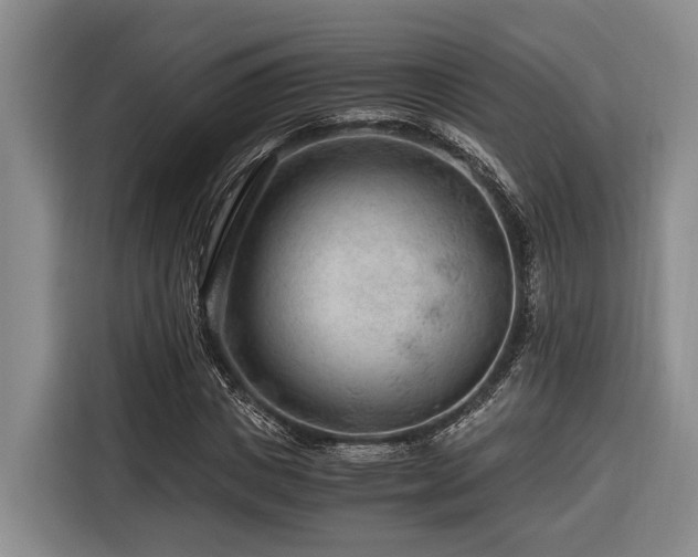 X0000116640825200912141233