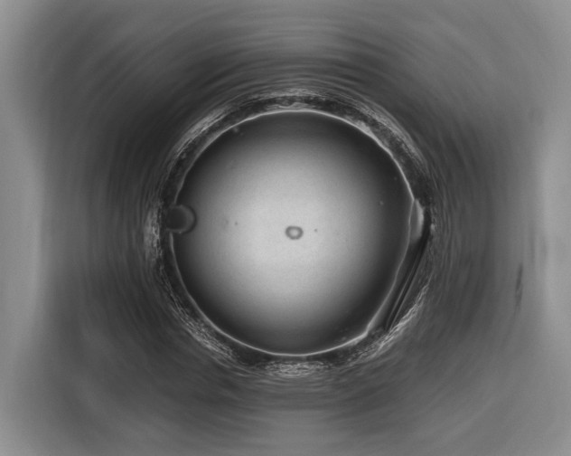 X0000116640826200912141233