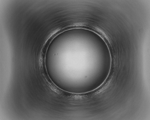 X0000116640827200912141233