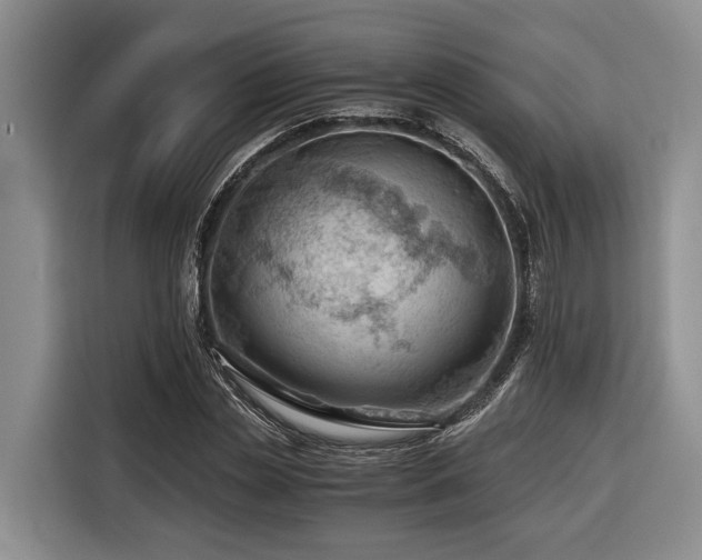 X0000116640829200912141233