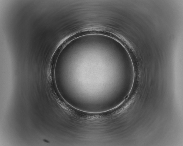 X0000116640830200912141233