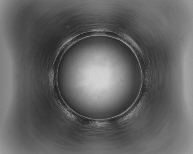 X0000116640831200912141234