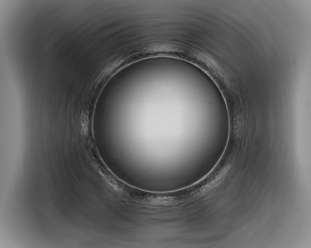 X0000116640833200912141234