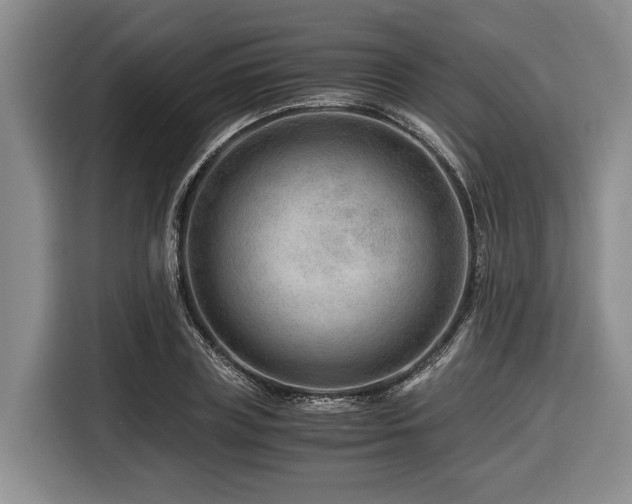 X0000116640835200912141234