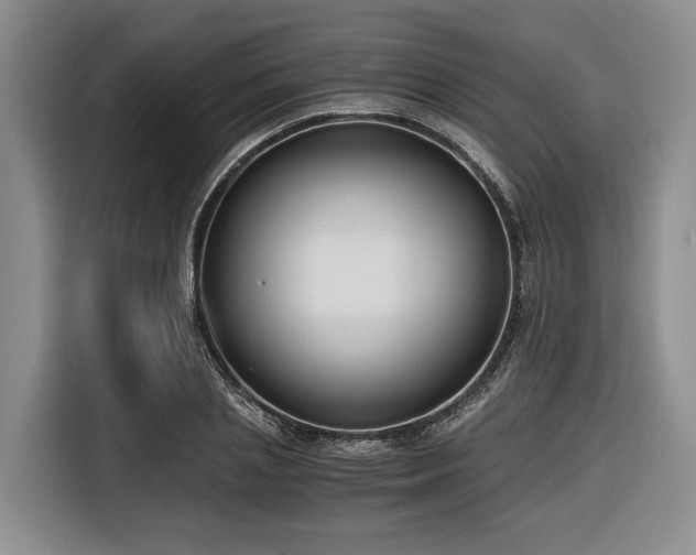 X0000116640837200912141234