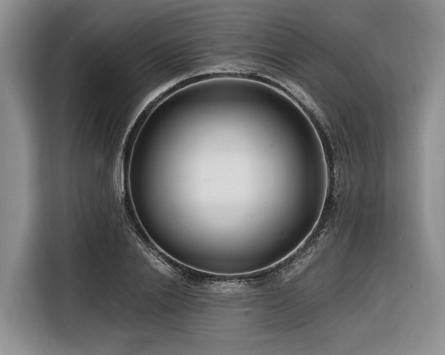 X0000116640838200912141234