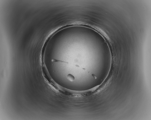 X0000116640839200912141234