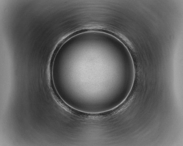 X0000116640840200912141234