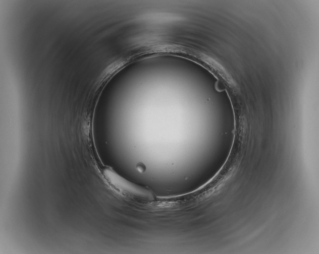 X0000116640841200912141234