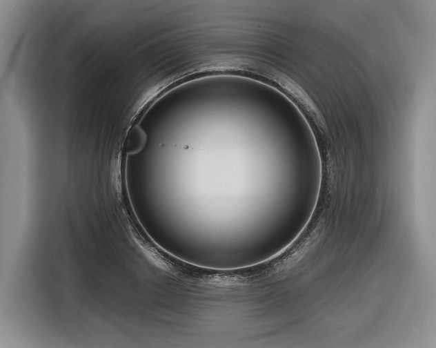 X0000116640842200912141234