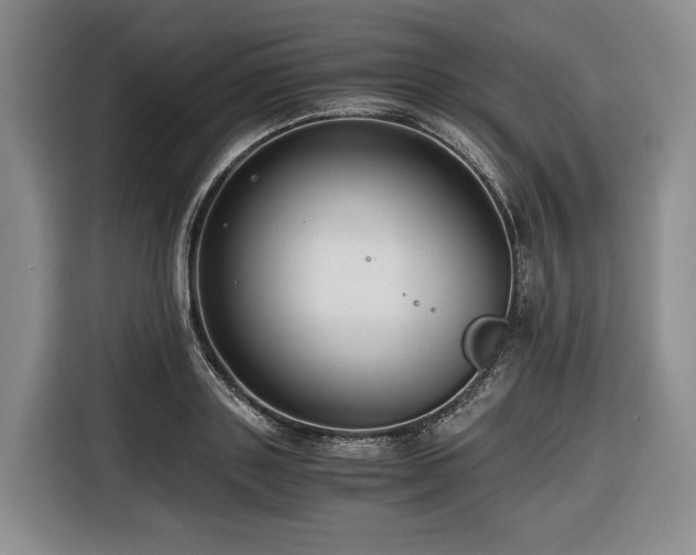 X0000116640843200912141234