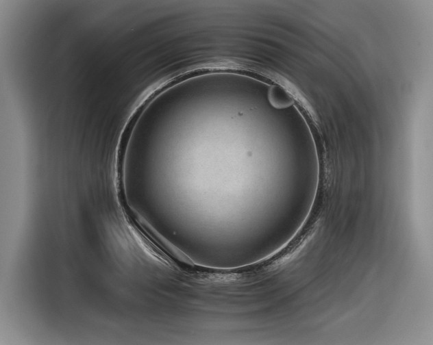 X0000116640845200912141234