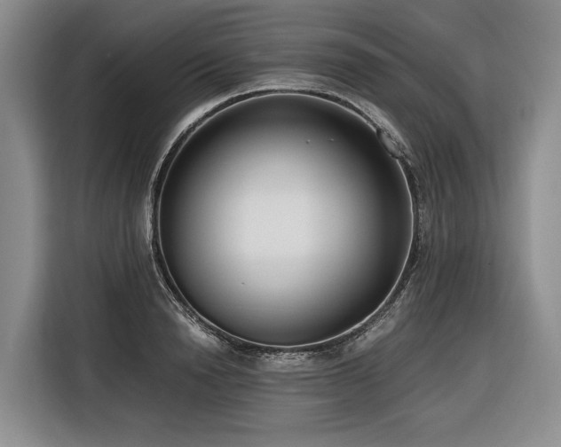 X0000116640846200912141234