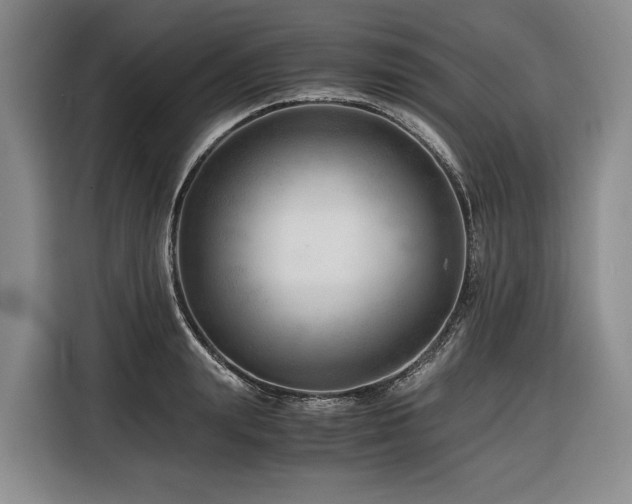 X0000116640847200912141234