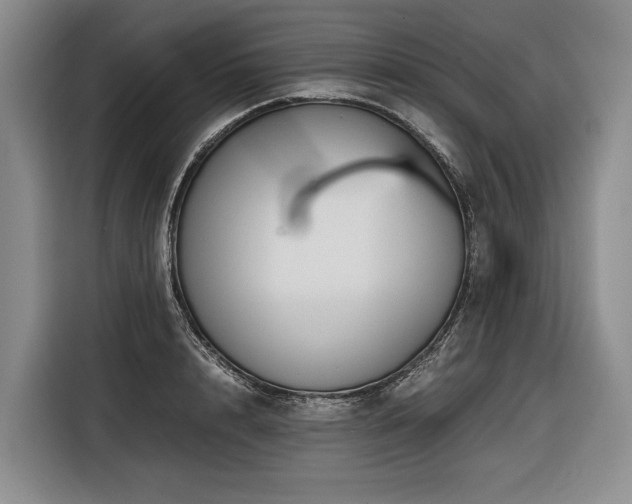 X0000116640848200912141234