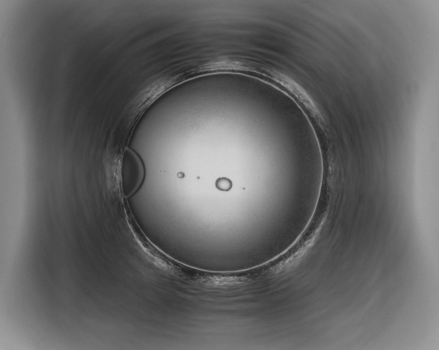 X0000116640849200912141234