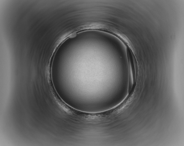 X0000116640850200912141234