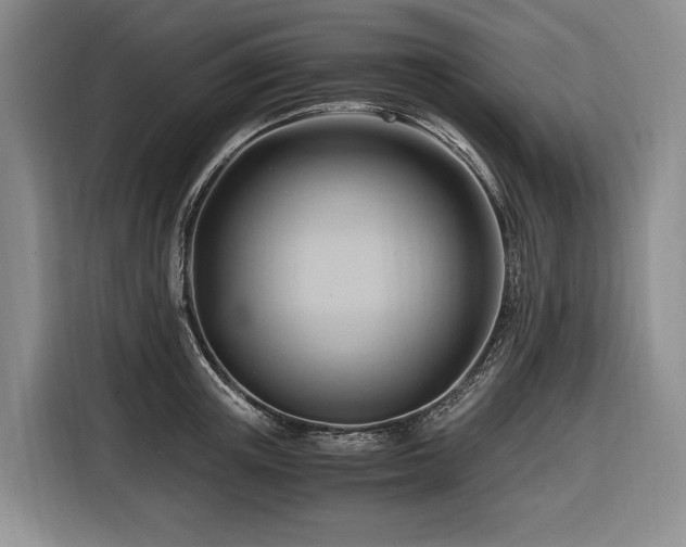 X0000116640851200912141234