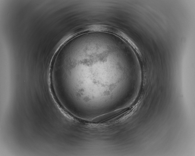 X0000116640853200912141234