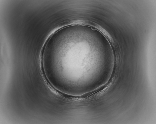 X0000116640854200912141234